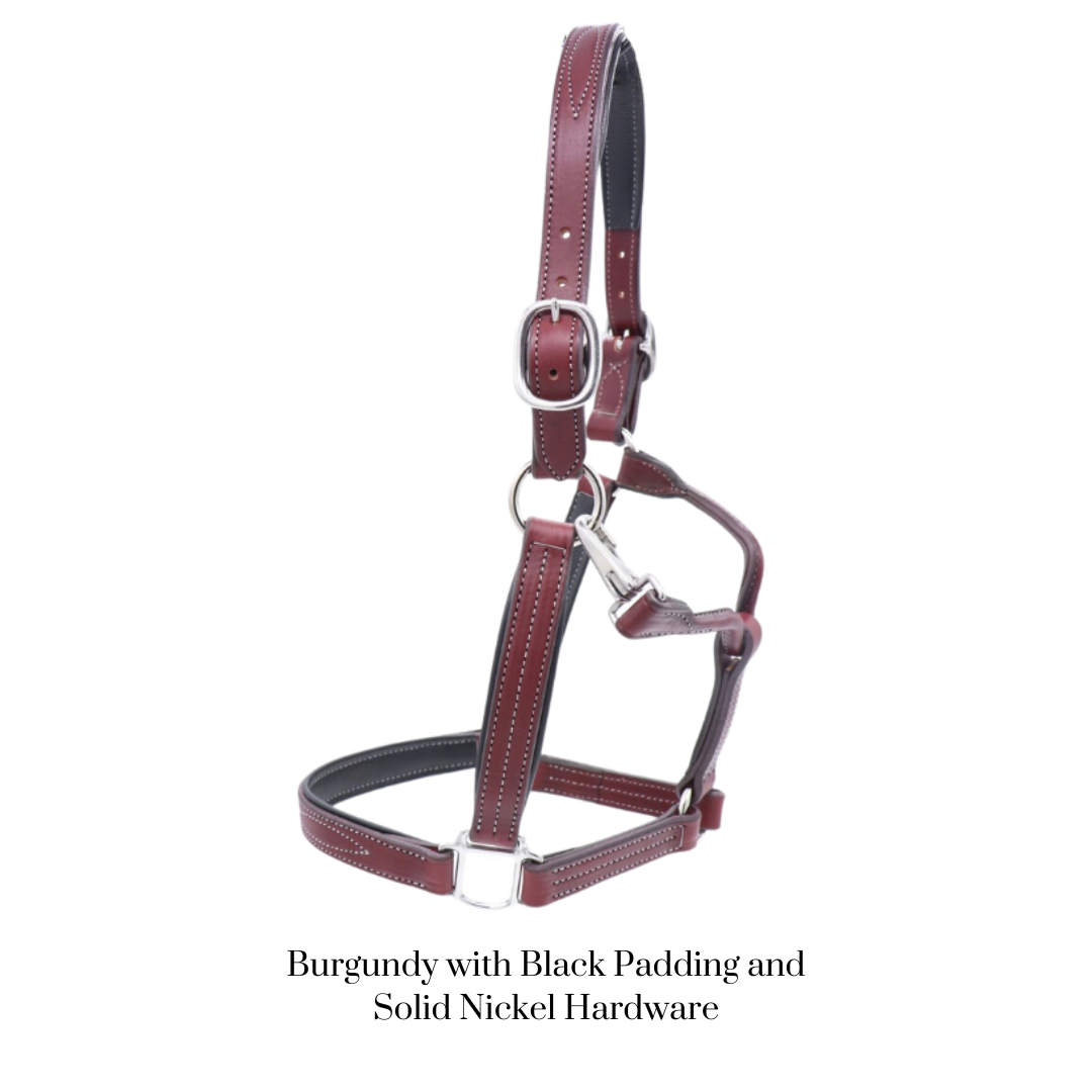 Remarkable Leather Goods GHC Padded Halter