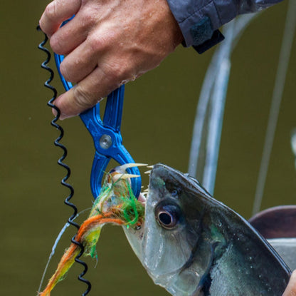 Rising Fishing Coil Leash