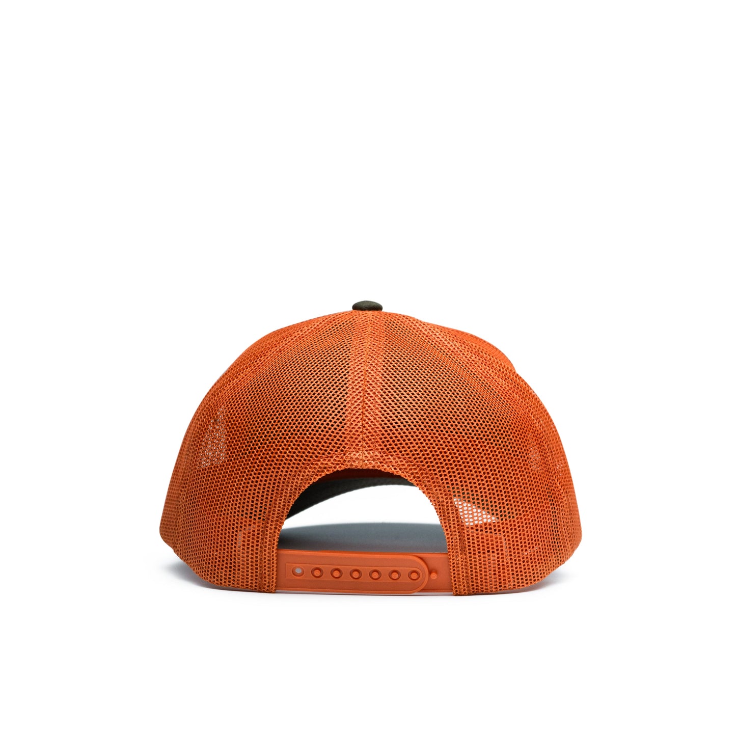 Hooked & Tagged  - Pointer Dog Patch Hat