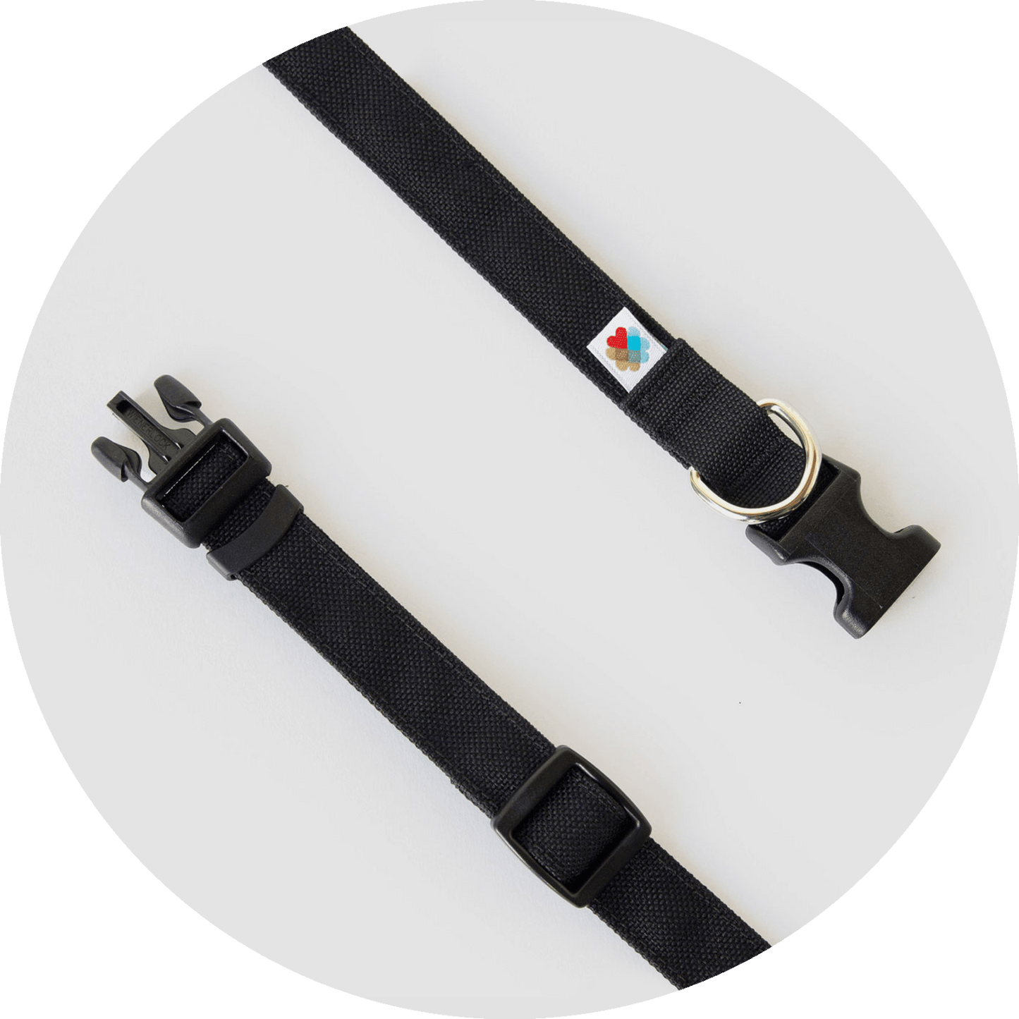 Wildebeest Funston Dog Collar