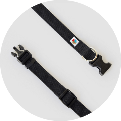 Wildebeest Funston Dog Collar