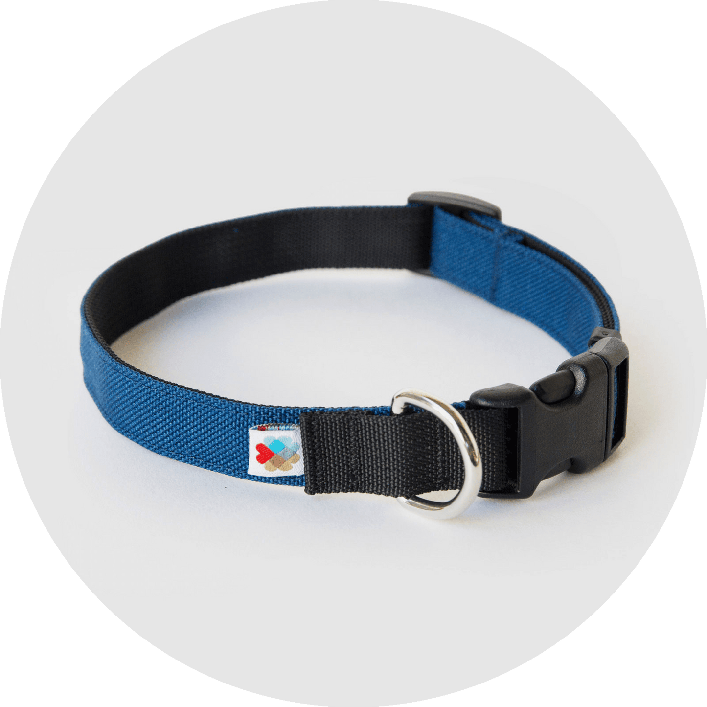 Wildebeest Funston Dog Collar