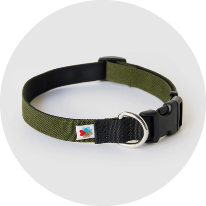 Wildebeest Funston Dog Collar