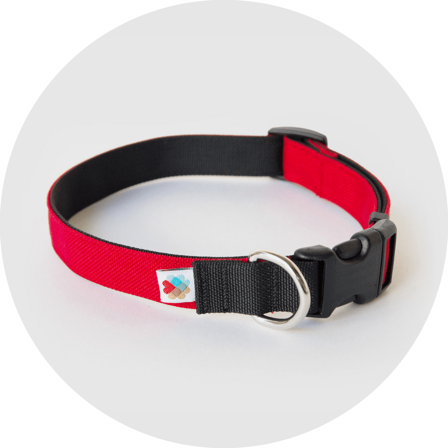 Wildebeest Funston Dog Collar