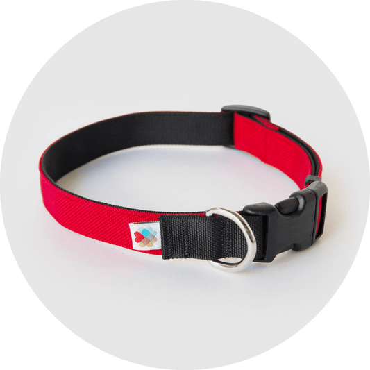 Wildebeest Funston Dog Collar