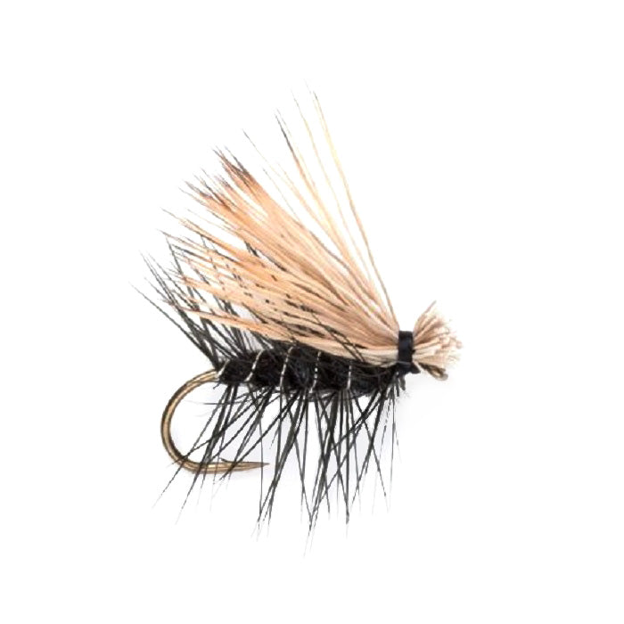 The Fly Fishing Place Black Elk Hair Caddis Classic Trout Dry Fly - 12 Flies Size 10