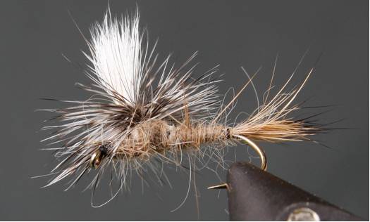 Stone Creek Parachute Caddis