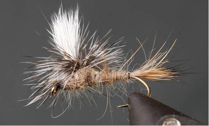 Stone Creek Parachute Caddis