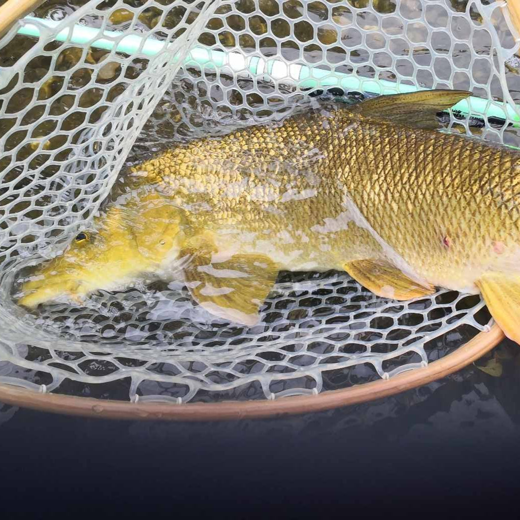 Wasatch Siyco Tenkara Rod
