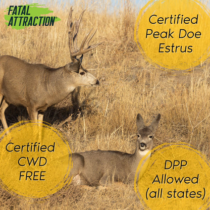 Zone Protects Deer Attractant; Realtree Fatal Attraction Deer Attractant Peak Doe Estrus