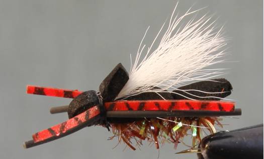 Stone Creek Black Foam Cicada