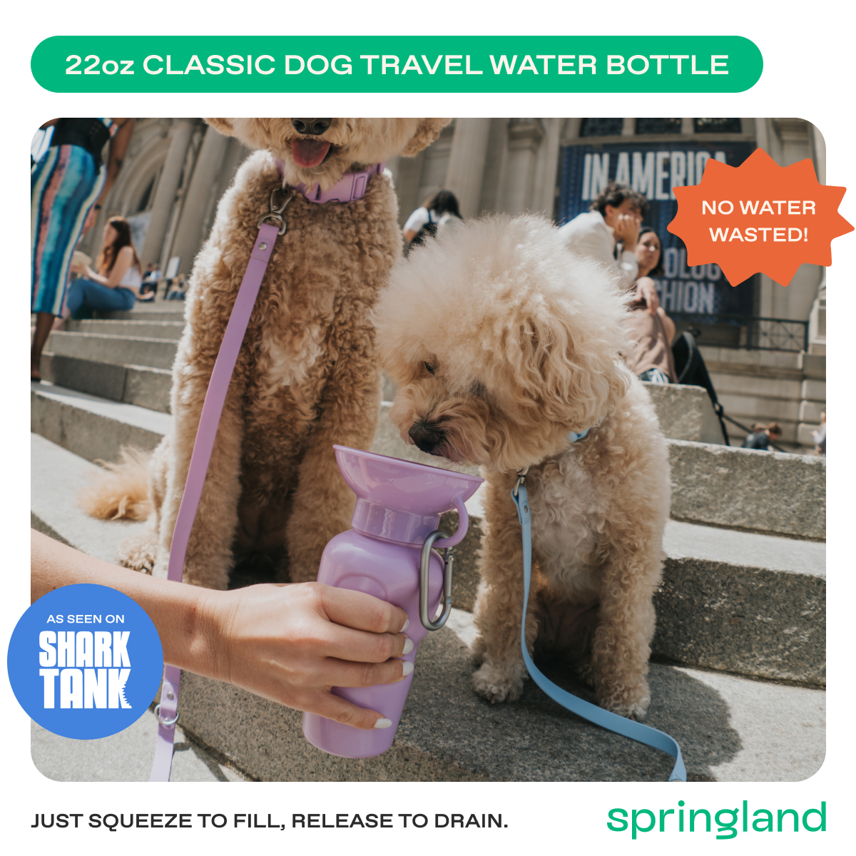 Springland Pets 22oz Original Dog Travel Water Bottle