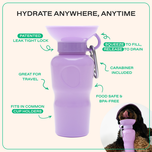 Springland Pets 22oz Original Dog Travel Water Bottle