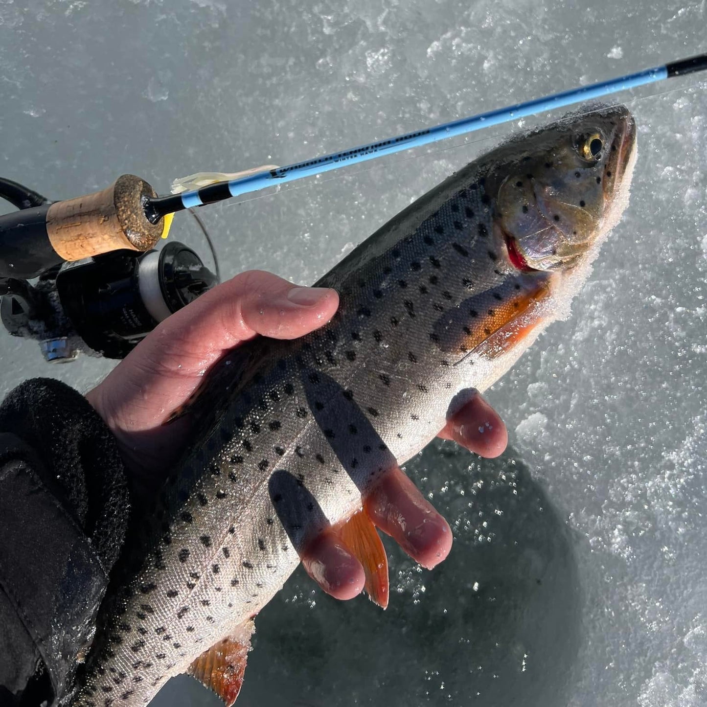 Wasatch Tenkara Rods Winterhawk