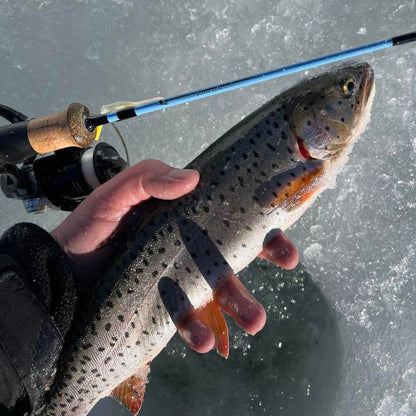 Wasatch Tenkara Rods Winterhawk
