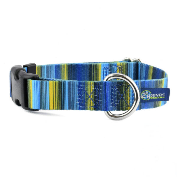 2 Hounds Design Clyde Buckle Martingale Dog Collar – EarthStyle