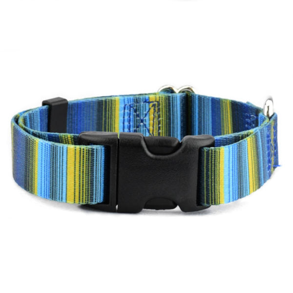 2 Hounds Design Clyde Dog Collar – EarthStyle