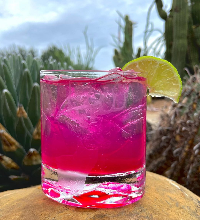 Brushfire Farms Bulk Prickly Pear Simple Syrup