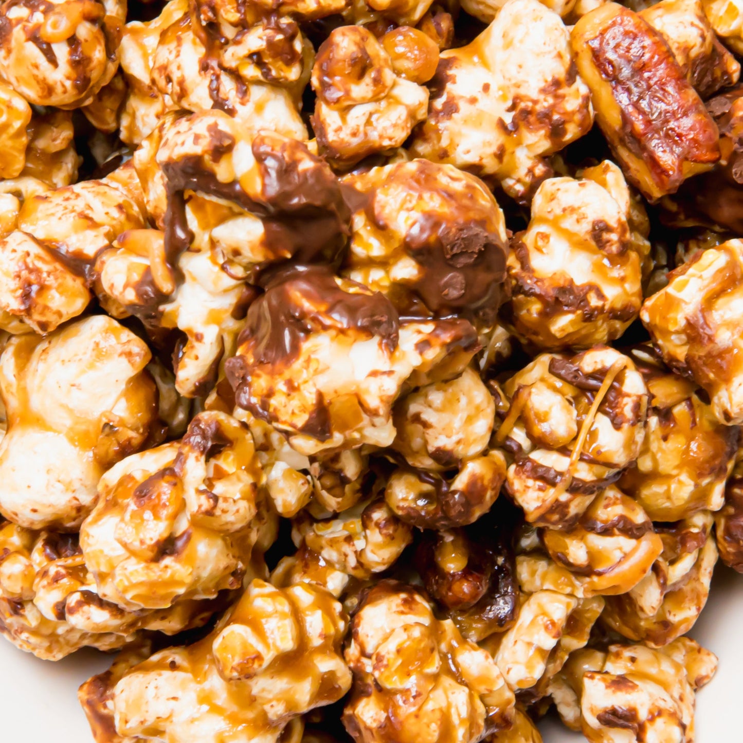 Colorado Popcorn Turtle Popcorn