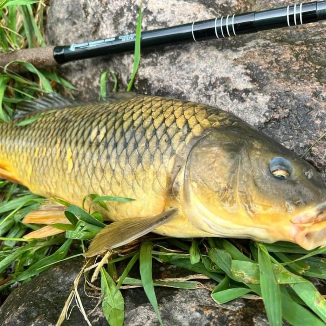 Wasatch RodZilla Tenkara Rod