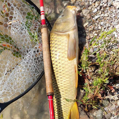Wasatch Phoenix Rising Tenkara Rod