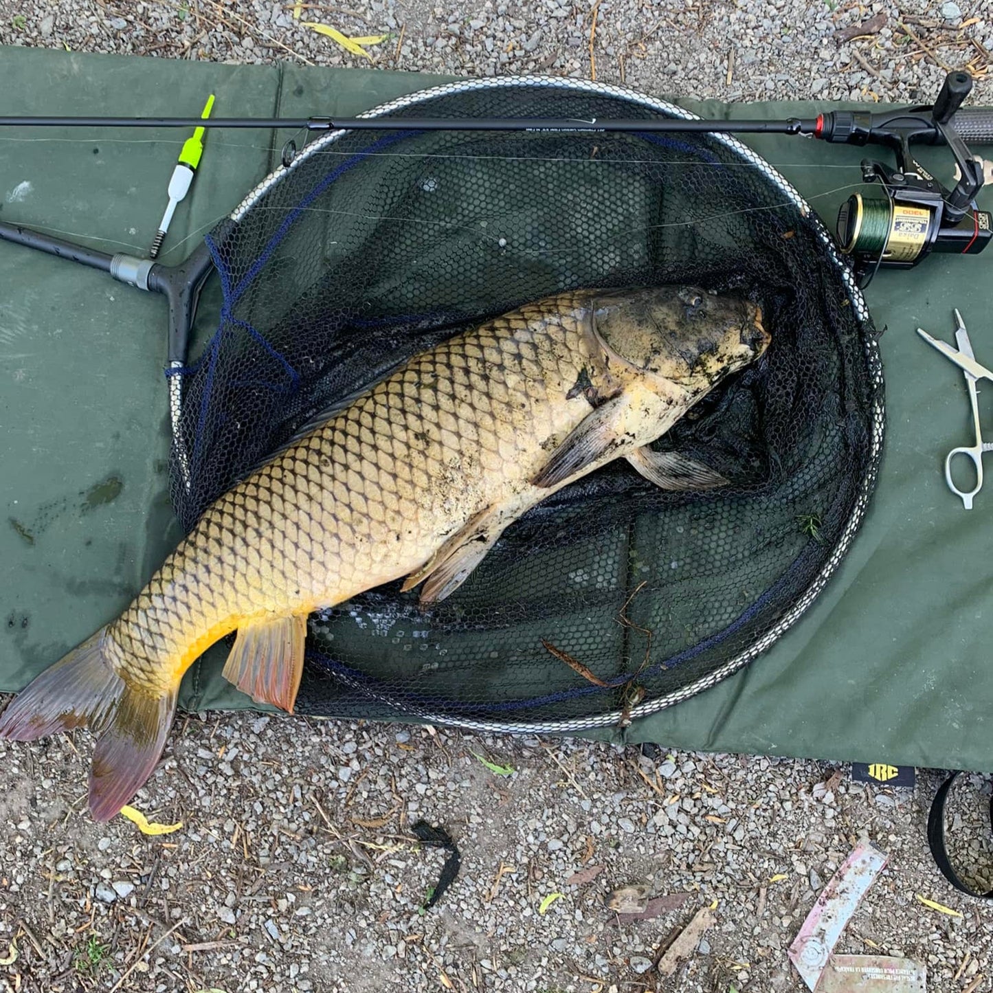 Wasatch Tenkara Rods Command Force