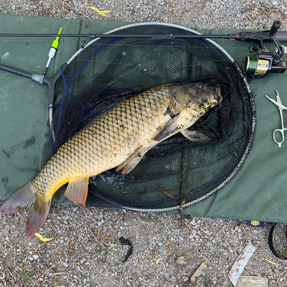 Wasatch Tenkara Rods Command Force
