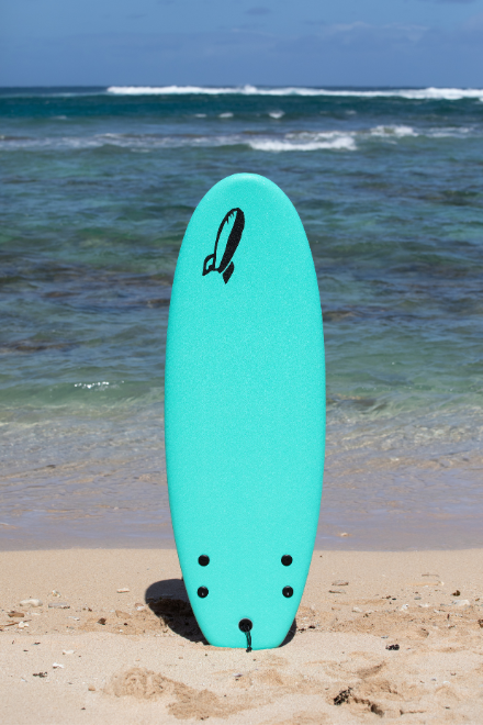 Rock-It Surf 4'10" CHUB twin fin shortboard
