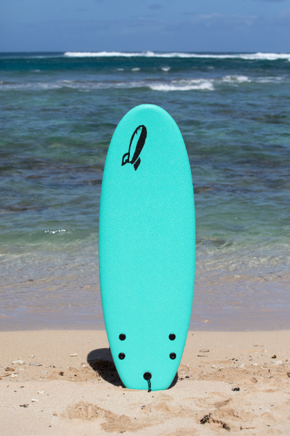 Rock-It Surf 4'10" CHUB twin fin shortboard