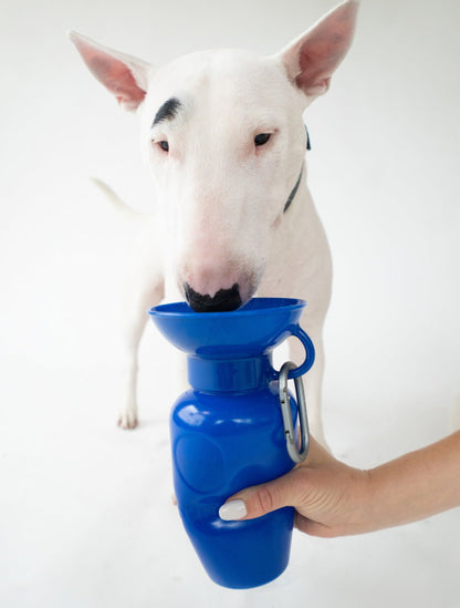 Springland Pets 22oz Original Dog Travel Water Bottle