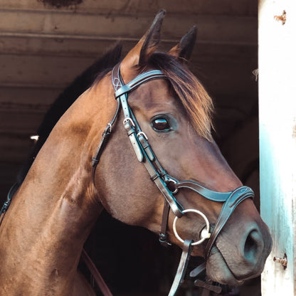 Bridles & Reins ExionPro Anatomical Drop Noseband Bridle with Reins