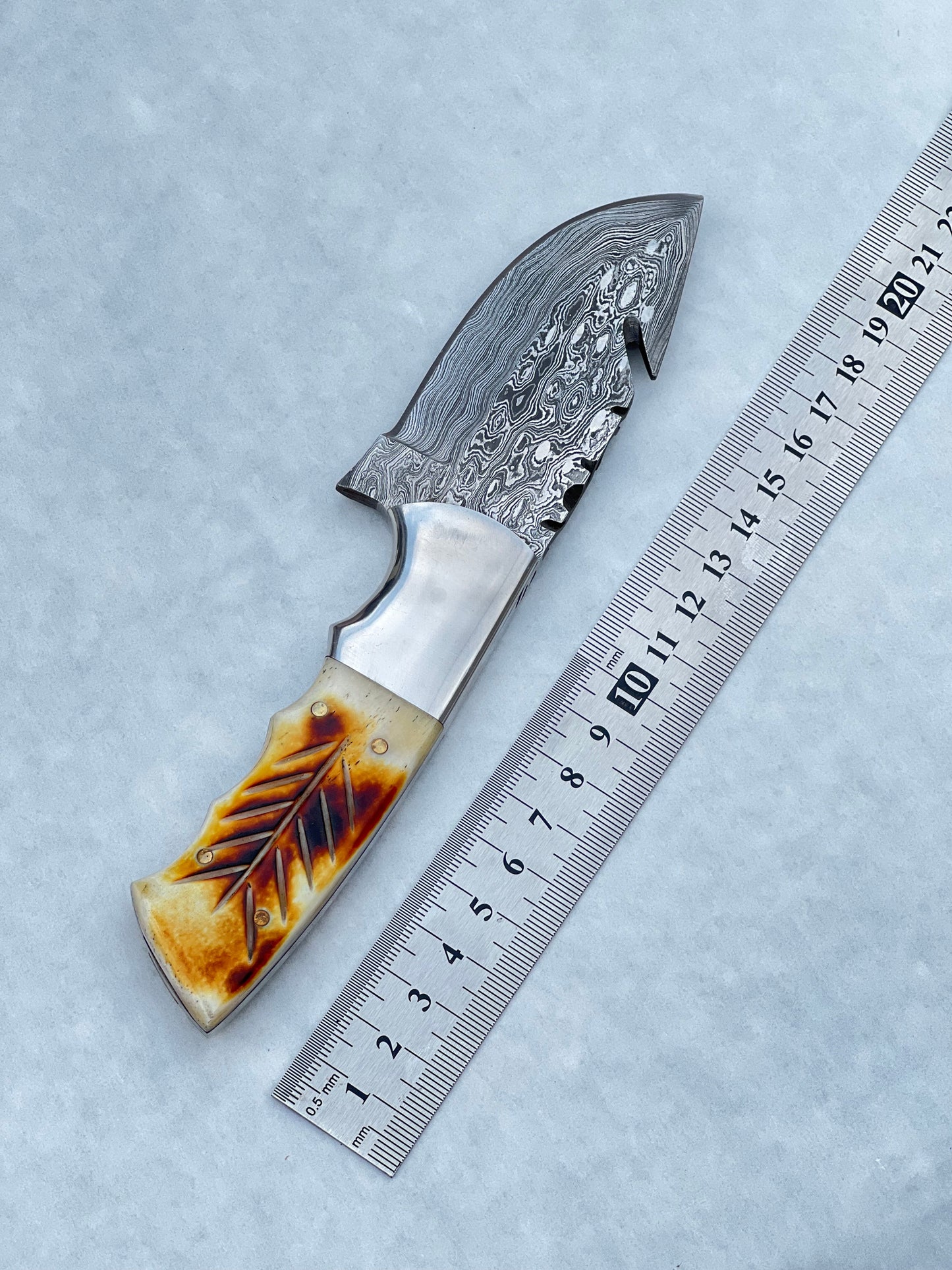 Texan Knives Damascus Steel Fixed Blade Knife with Camel Bone & Rosewood Handle - 7.5" Custom Pocket Knife with Leather Sheath