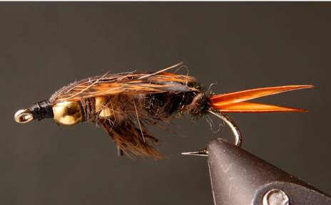 Stone Creek Double Bead - Stonefly Nymphs
