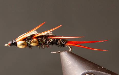 Stone Creek Double Bead - Stonefly Nymphs