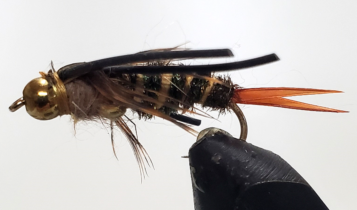 Stone Creek Double Bead - Stonefly Nymphs