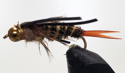 Stone Creek Double Bead - Stonefly Nymphs