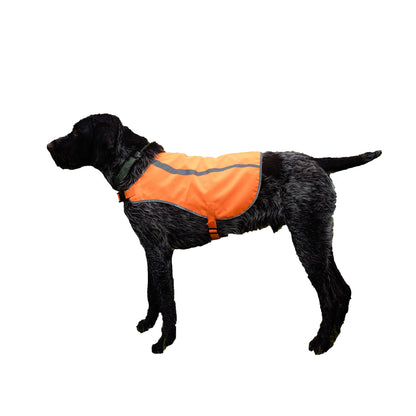 Orange Aglow Dog Safety Vest