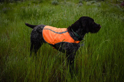 Orange Aglow Dog Safety Vest