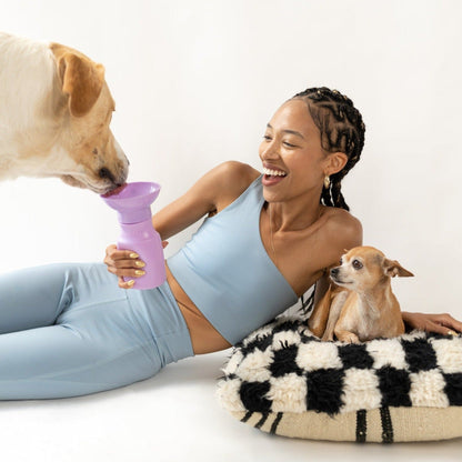 Springland Pets 15oz Original Dog Travel Water Bottle