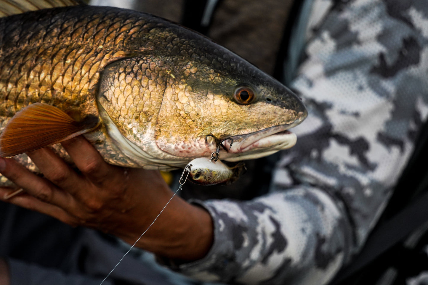 Topwater Co Small Speed Clips (45lbs)