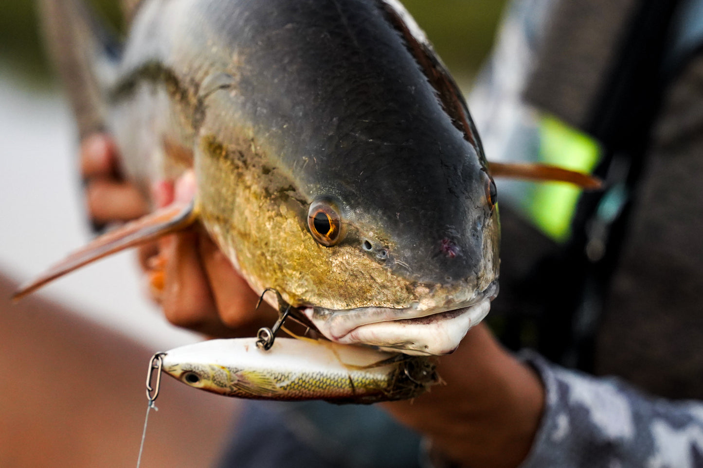 Topwater Co Small Speed Clips (45lbs)