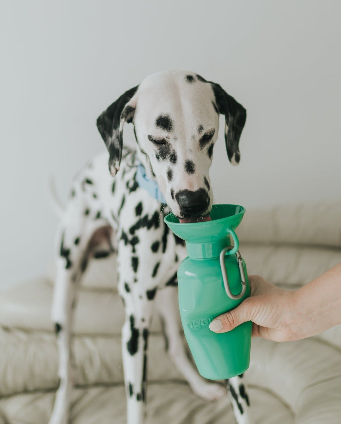 Springland Pets 22oz Original Dog Travel Water Bottle