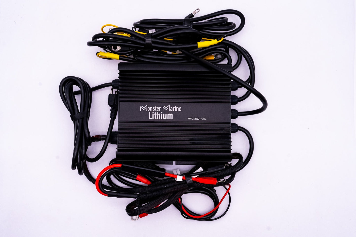 Monster Marine Lithium 36v DYNO4 Dynamic Charger