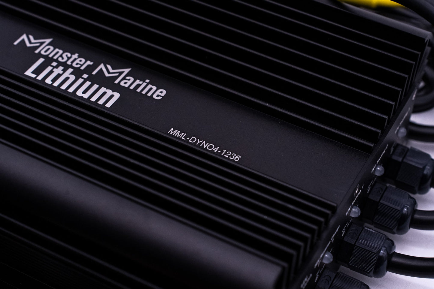 Monster Marine Lithium 36v DYNO4 Dynamic Charger