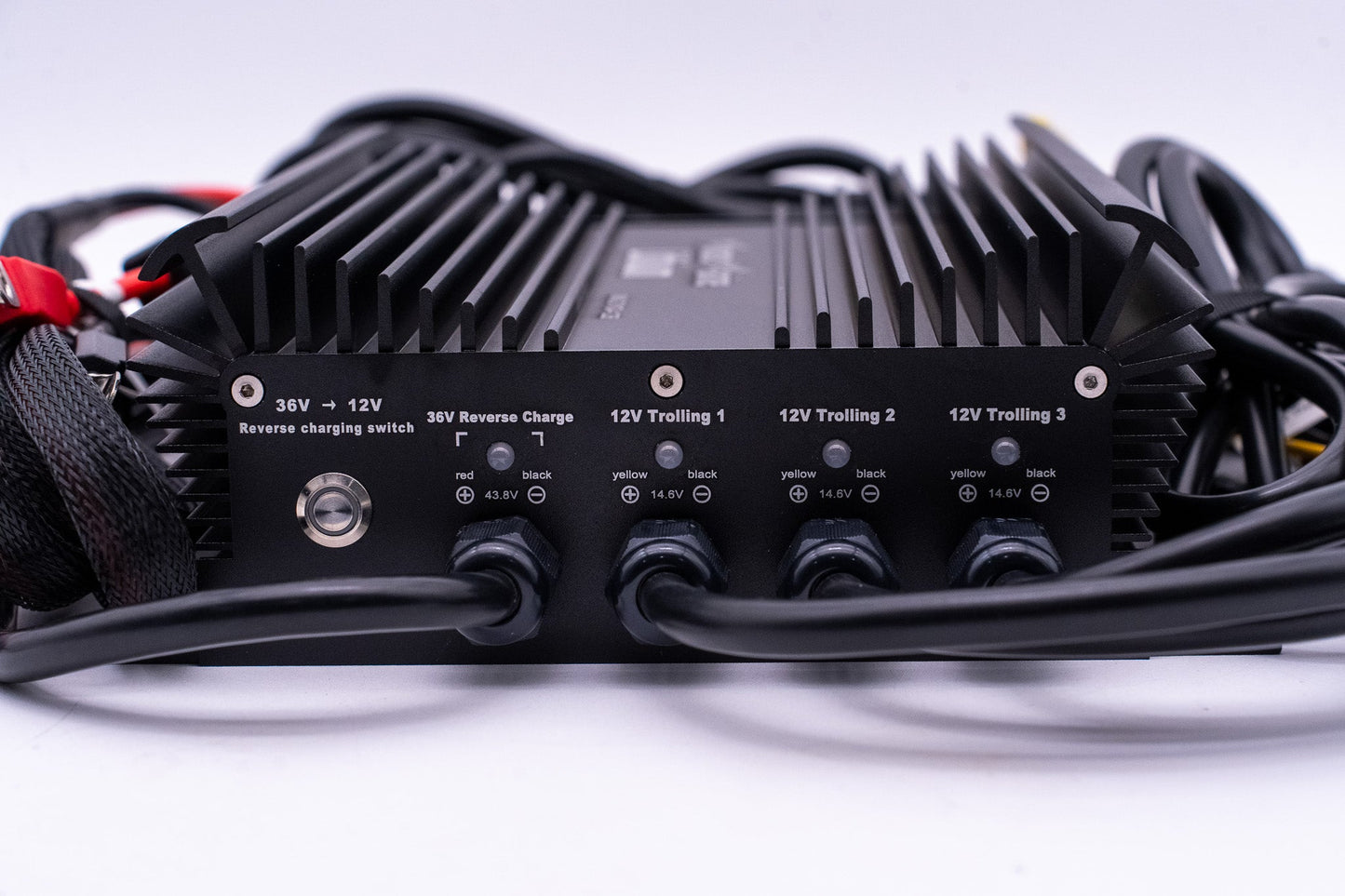 Monster Marine Lithium 36v DYNO4 Dynamic Charger