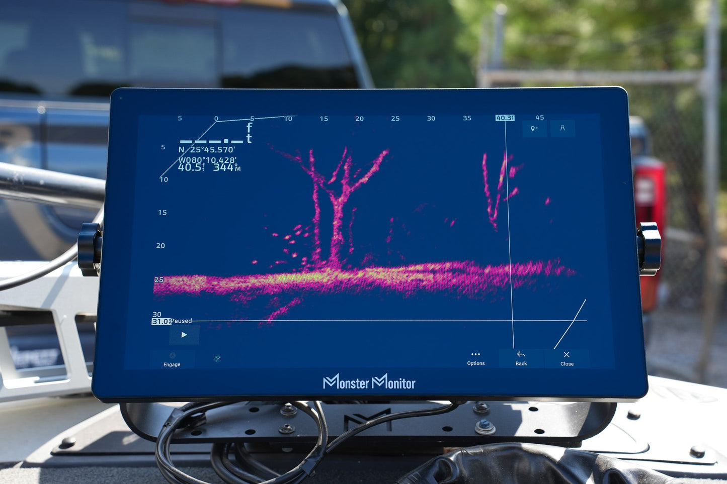 Monster Marine Lithium MONSTER MONITOR - FOCUS 19