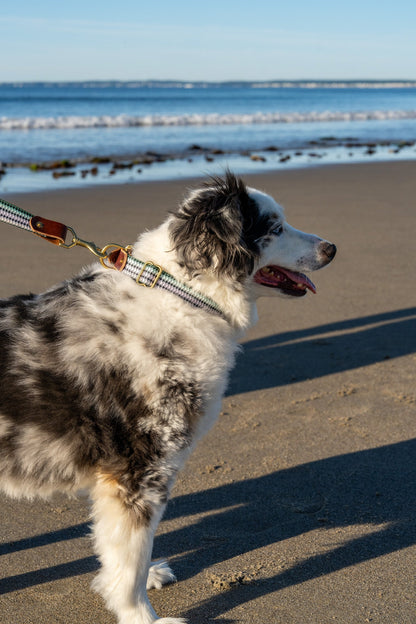 Whiskey Leatherworks Saltwater Dog Collars
