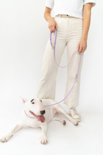 Springer Dog Leash