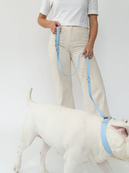 Springer Dog Leash