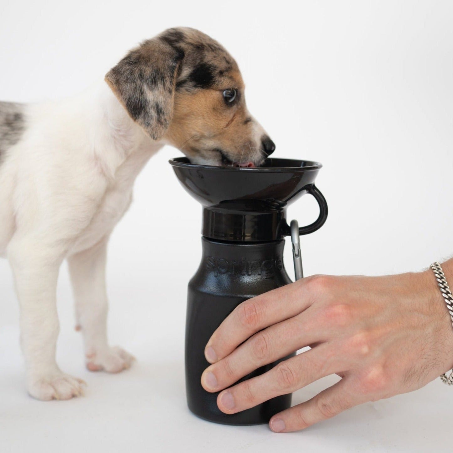 Springland Pets 15oz Original Dog Travel Water Bottle